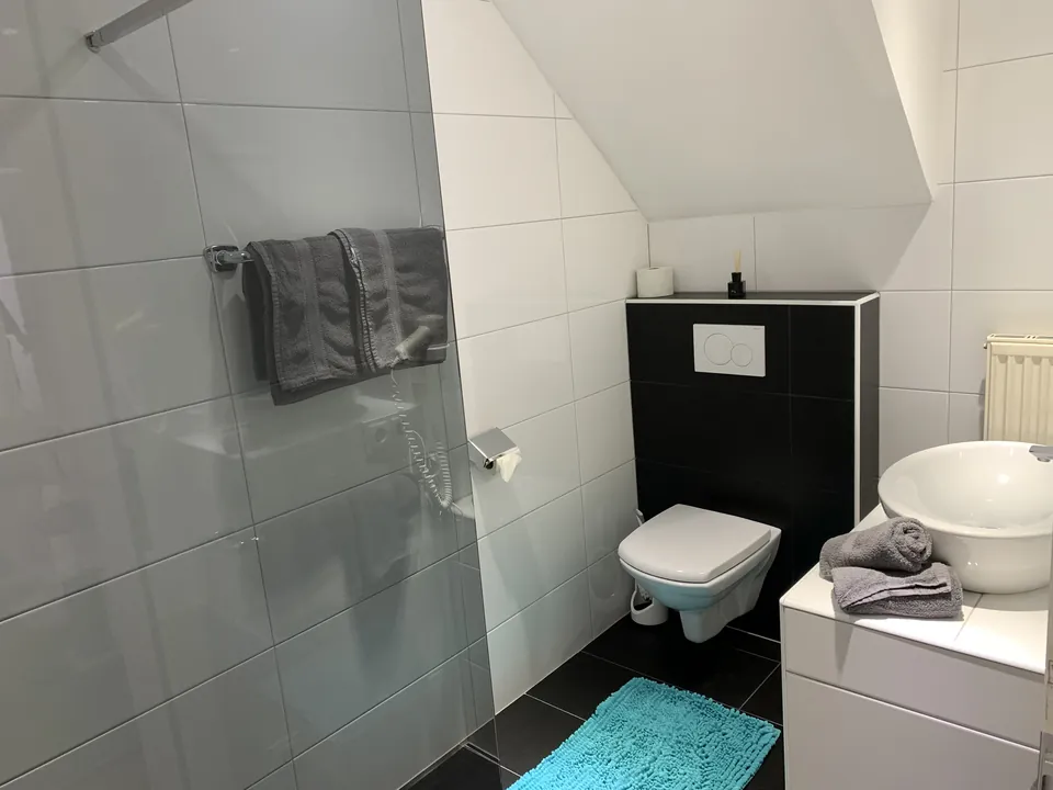 Bad von Apartment 2 mit WC und Handtüchern