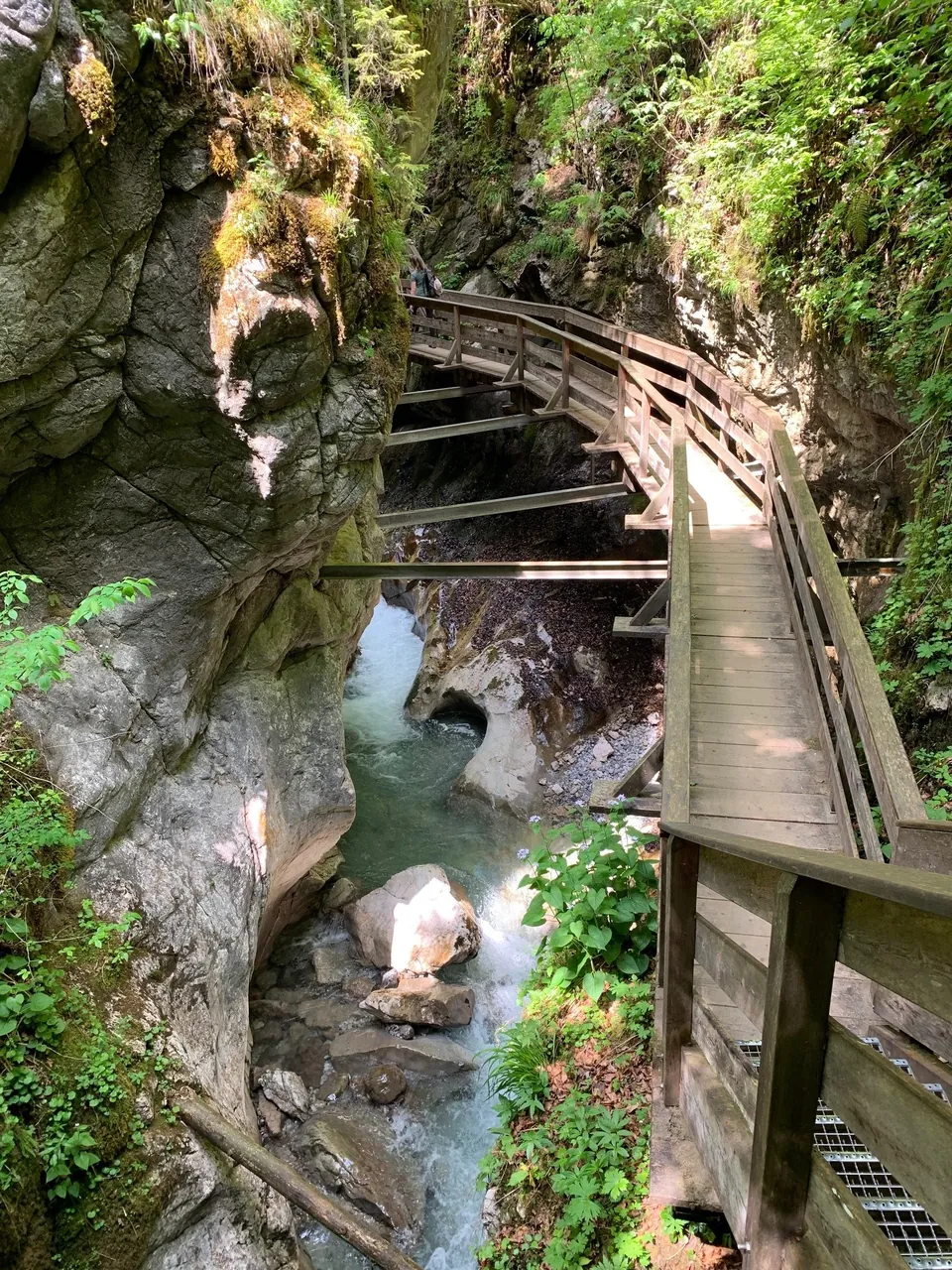 Holzstege durch die bewaldete Seisenbergklamm